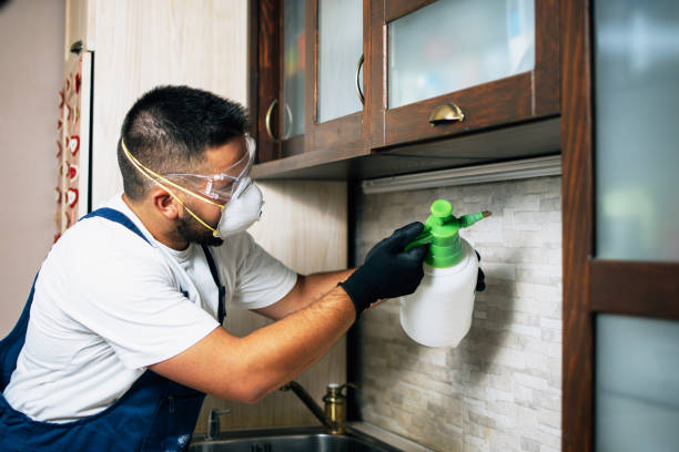 Best Affordable Pest Control Services  in Dakota Dunes, SD