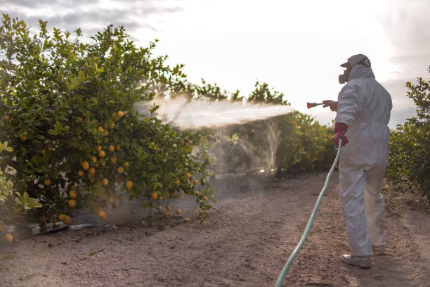 Best Pest Inspection Near Me  in Dakota Dunes, SD