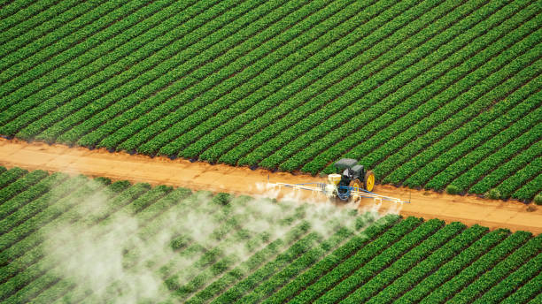 Best Mosquito Control Services  in Dakota Dunes, SD