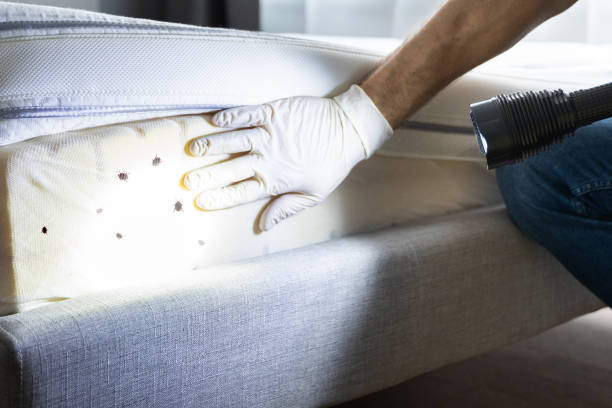 Best Bed Bug Extermination  in Dakota Dunes, SD