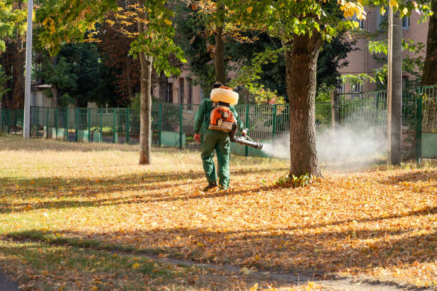 Best Residential Pest Control  in Dakota Dunes, SD