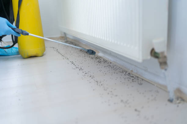 Best Pest Prevention Services  in Dakota Dunes, SD