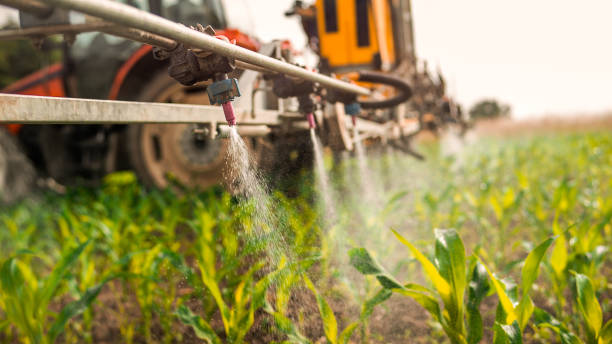 Best Pest Removal Services  in Dakota Dunes, SD